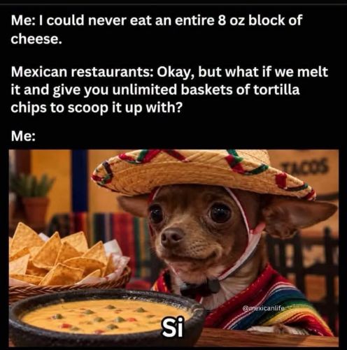 dog and cheese.jpg